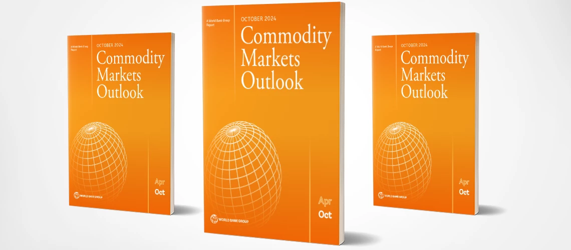 Commodity Market Outlook