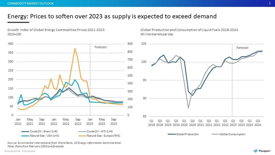 Commodity Price Outlook