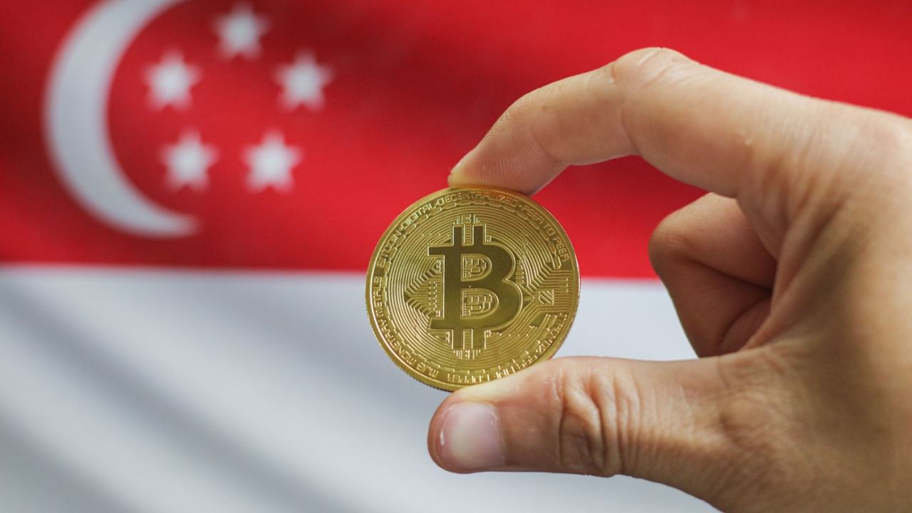 Tokenized wheat blockchain and Davis Commodities logo